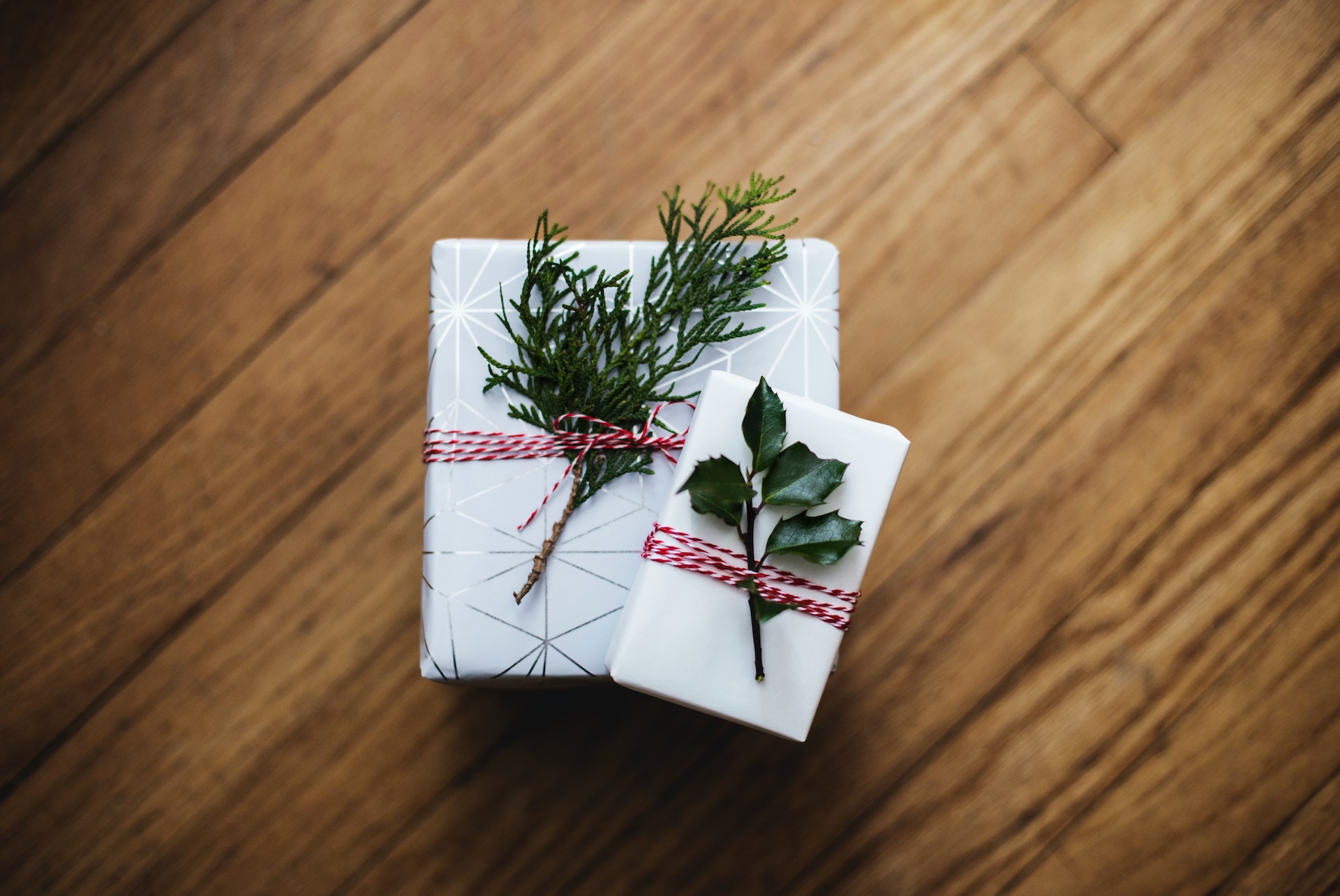 Spruce and holly sprig on presents