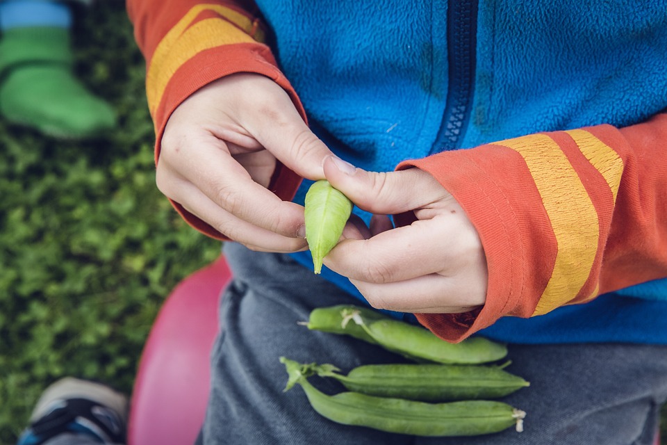 vegetables-1666643_960_720